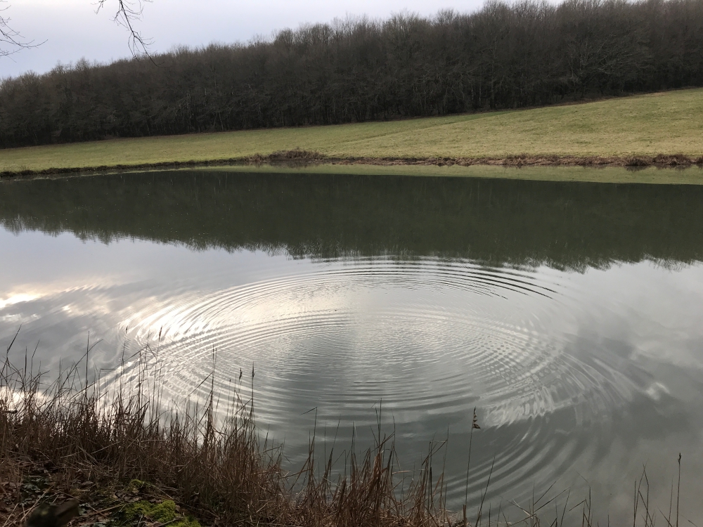 2018 Lent Week 2