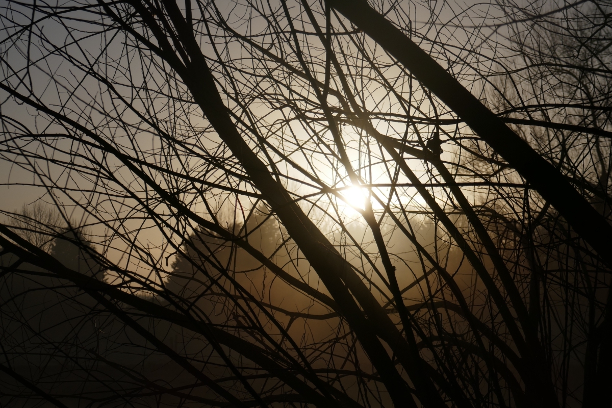 2018 Lent Week 3