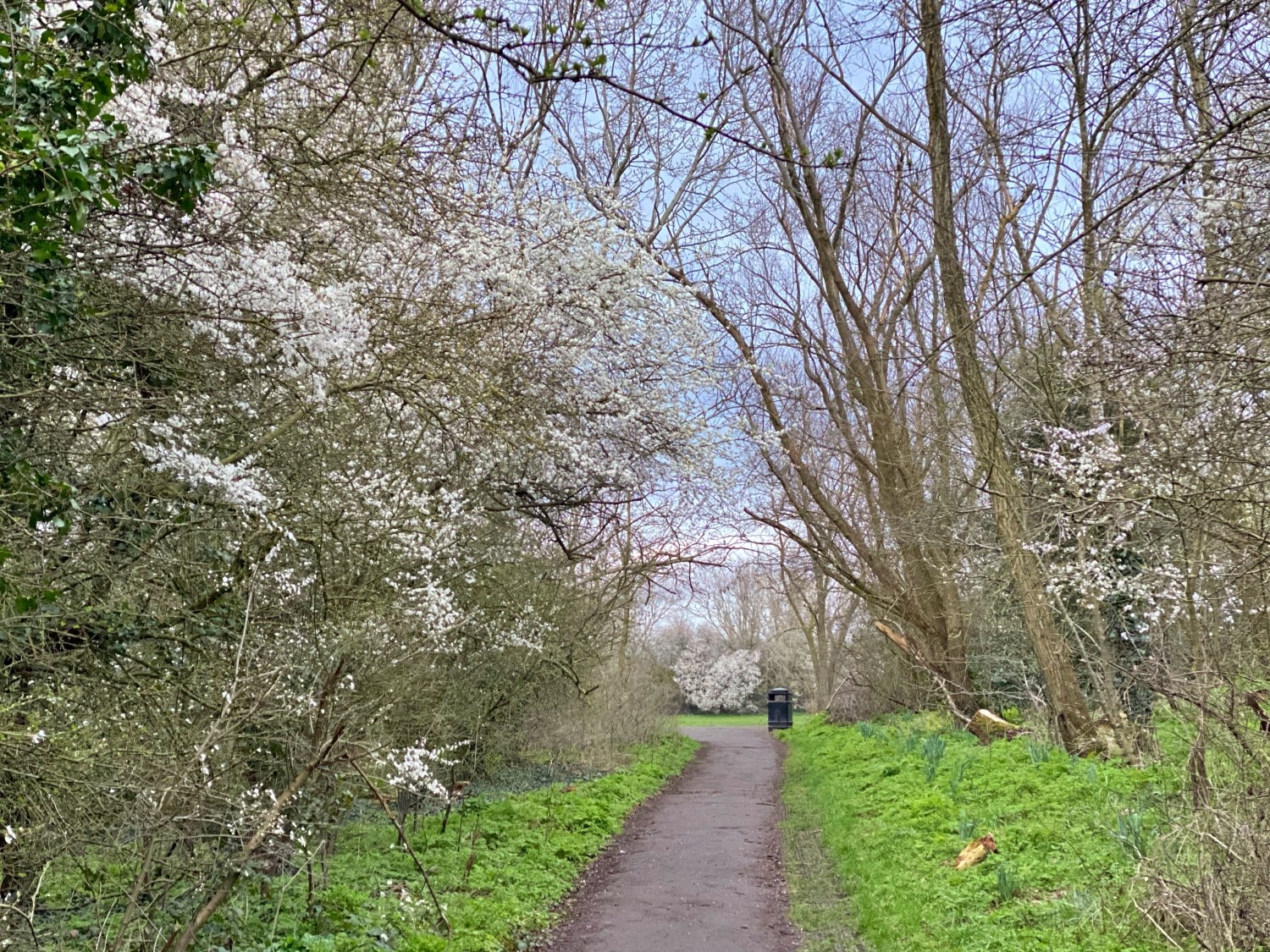 2021 lent week 4